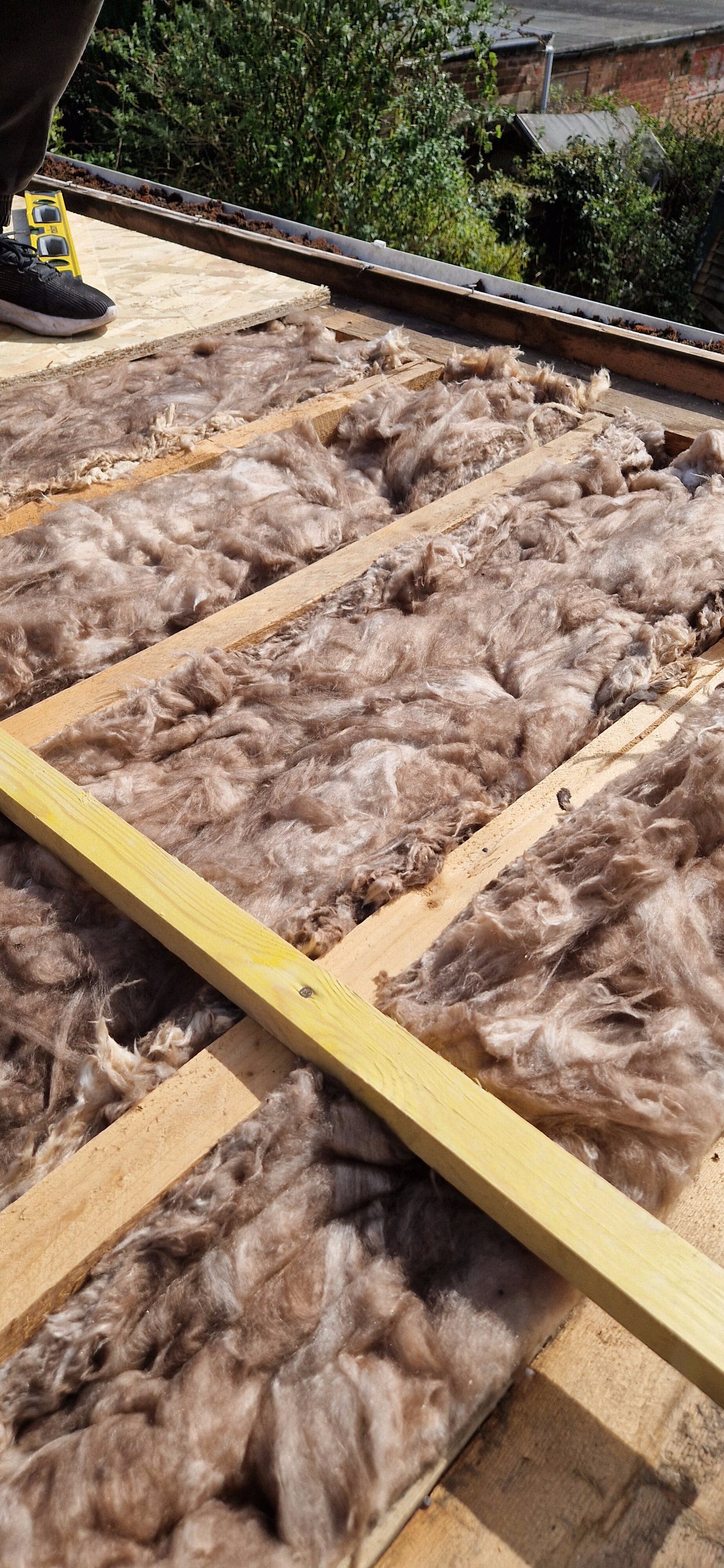 How to Find a Roof Leak: A Homeowner's Guide